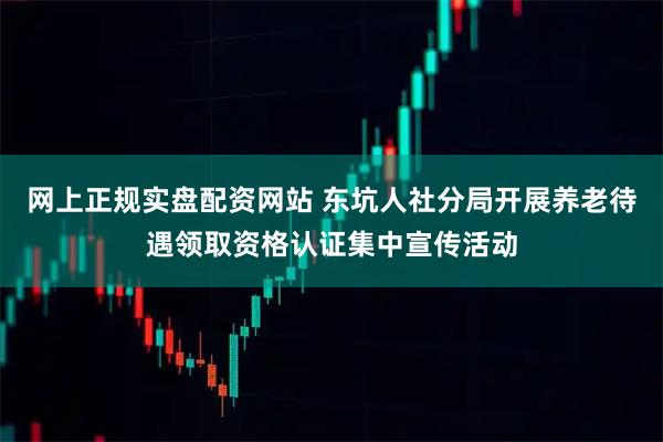 网上正规实盘配资网站 东坑人社分局开展养老待遇领取资格认证集中宣传活动